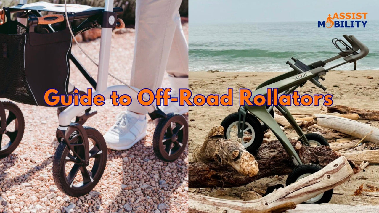 Off-Road Rollators Article Image