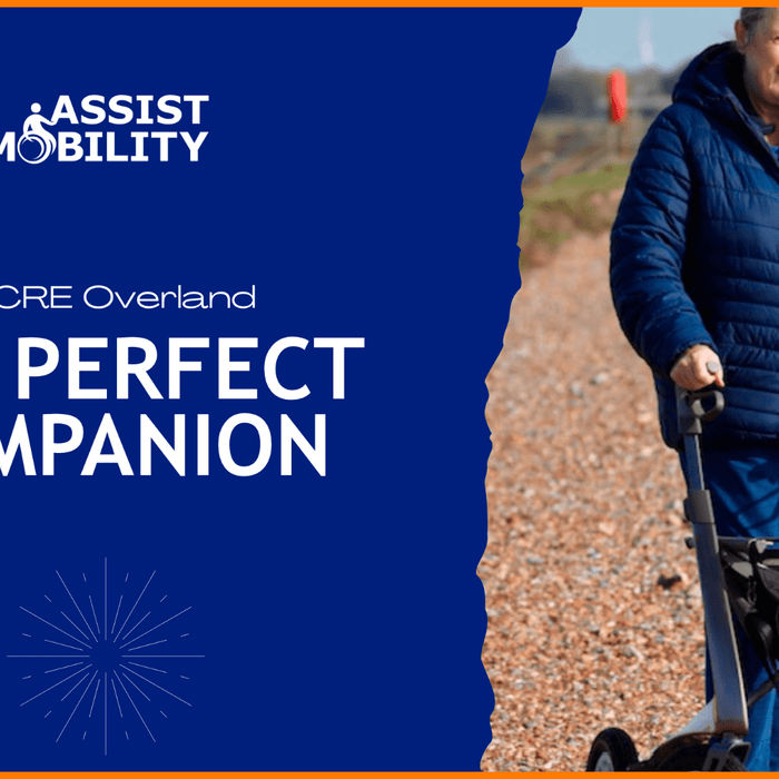 Stephanie's Perfect Companion