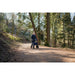 Man walking through the woods with Torrow rollator
