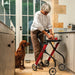 An older woman using a red and black Trust Care Lets Go Indoor rollator  in a kitchen, with a brown dog sitting nearby.